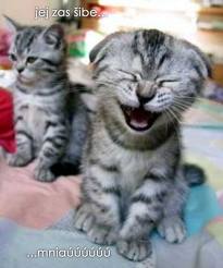 images (8)