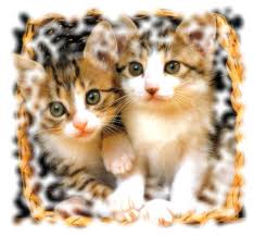 images (10)