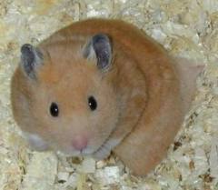 images (19)