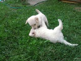images (23)