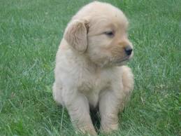images (27)