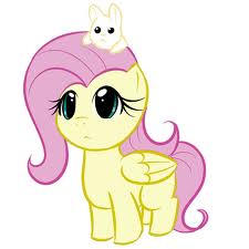 images (9)