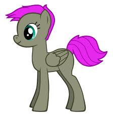 images (13)